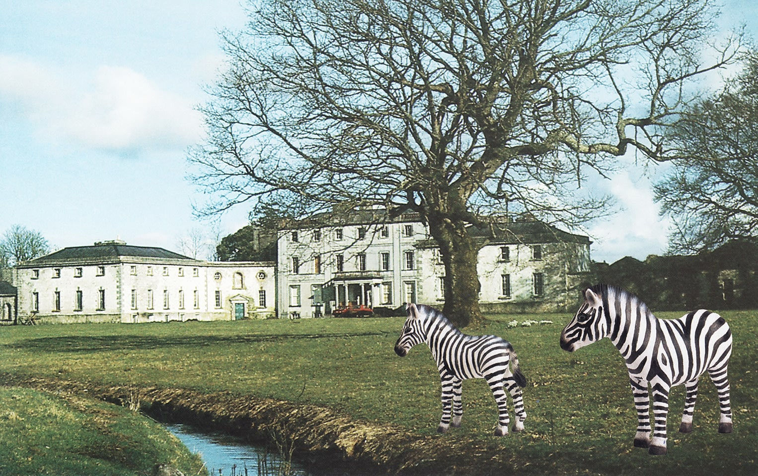 Vikky Alexander, Strokestown Demesne with Zebras, 2013