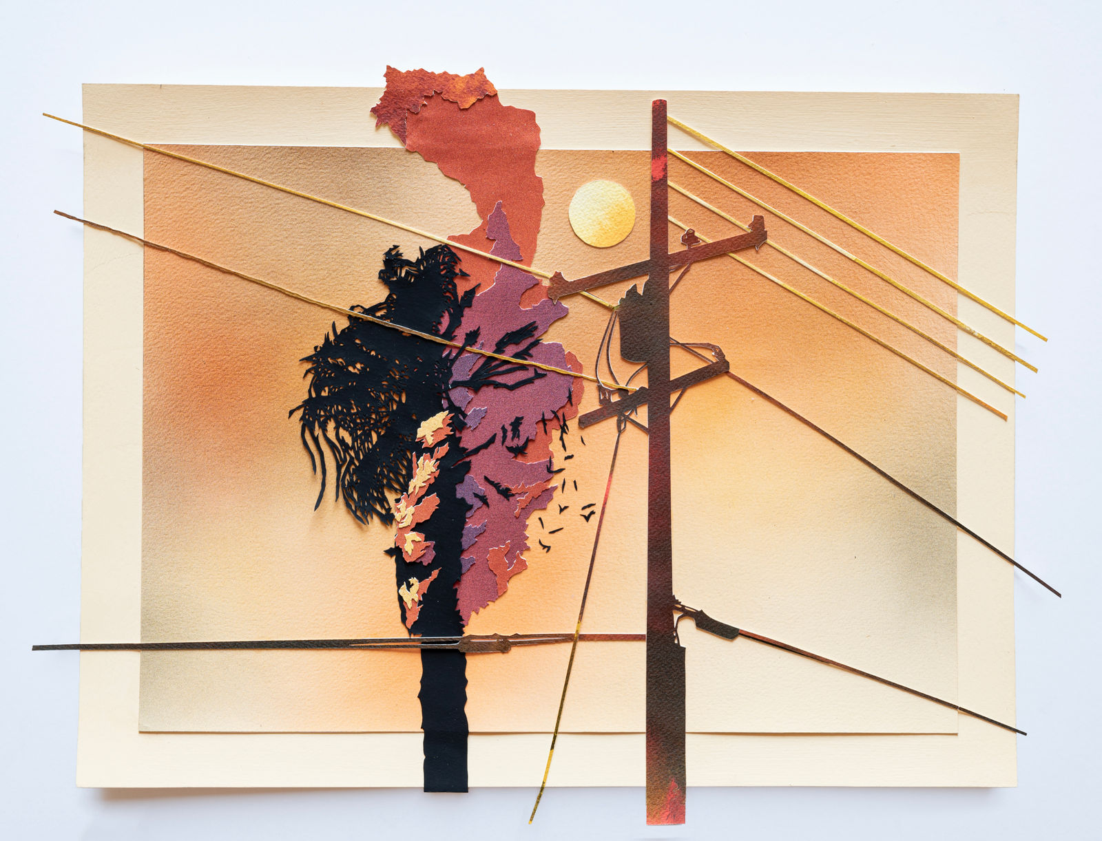 Francesca Gabbiani, Closer, 2023