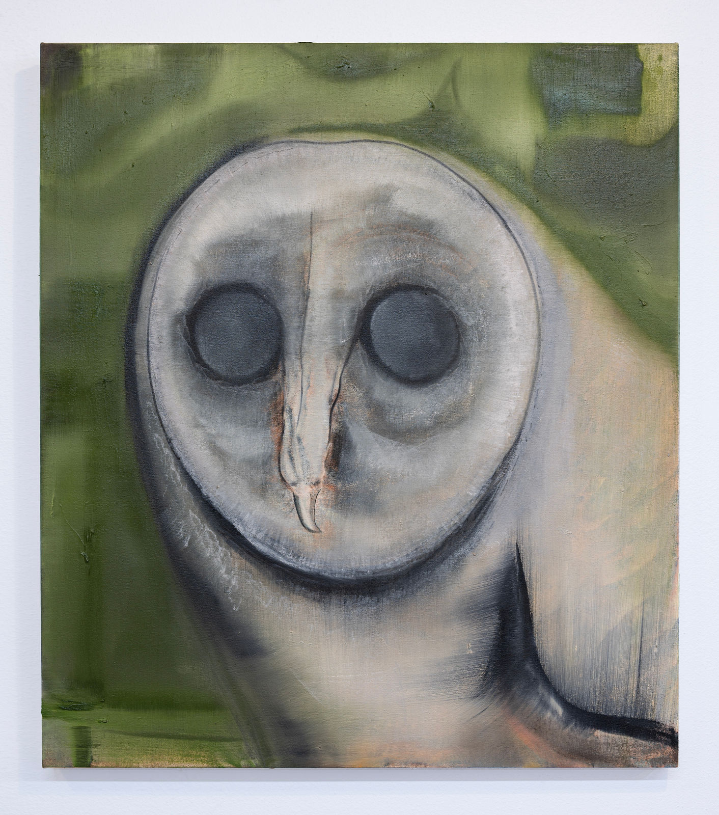 Robert Gunderman, Barn Owl, 2023