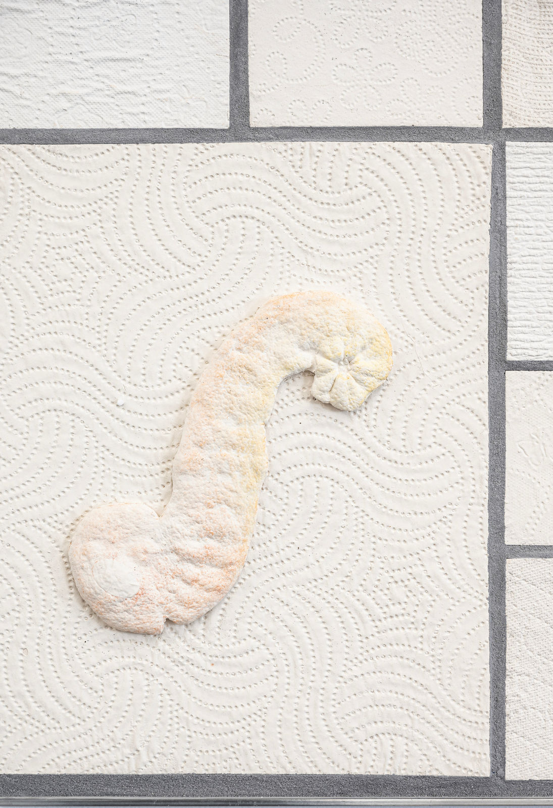 Ry Rocklen, Absorption Panel (Perfect Pixie), 2024