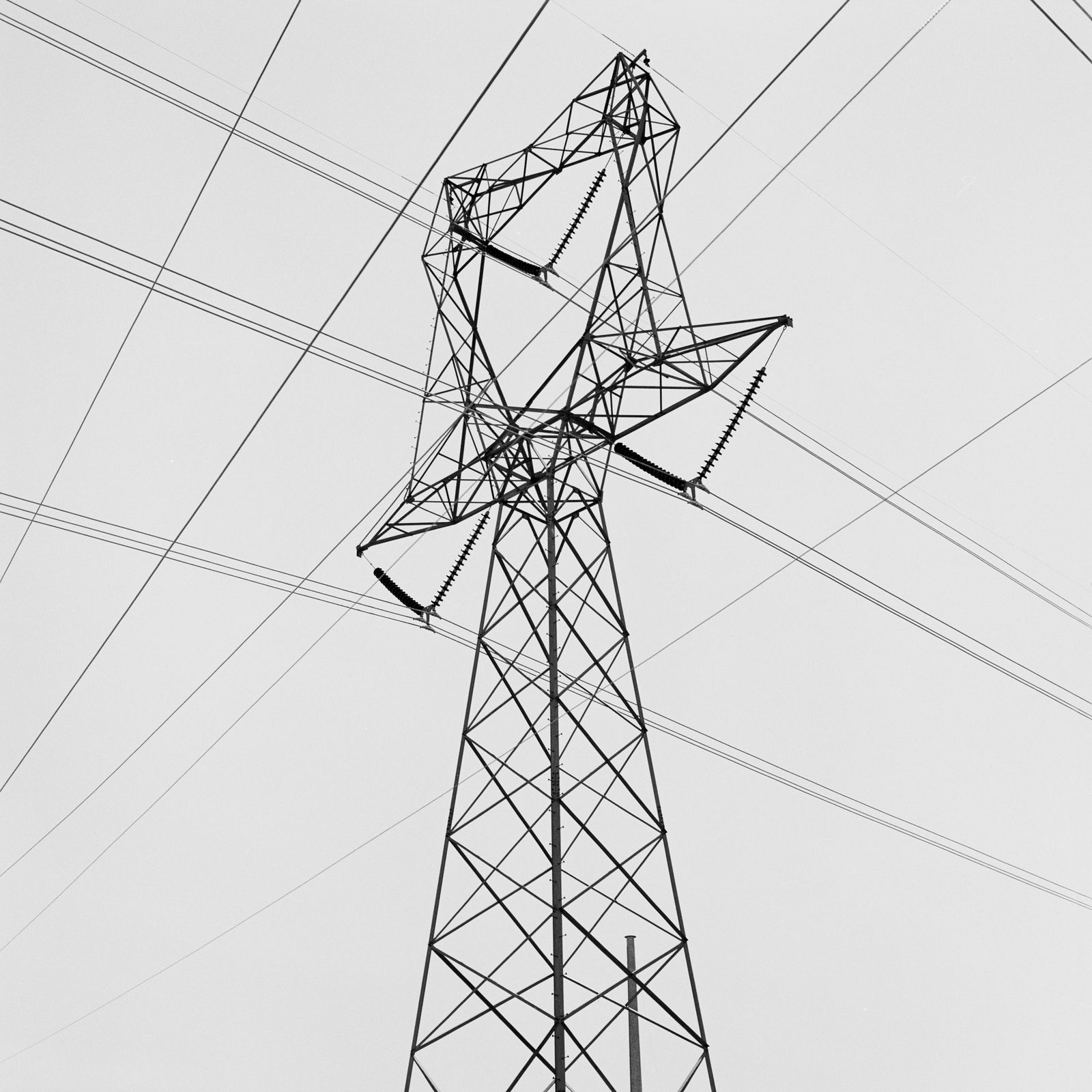 Graeme Mitchell, Transmission Tower, 2012