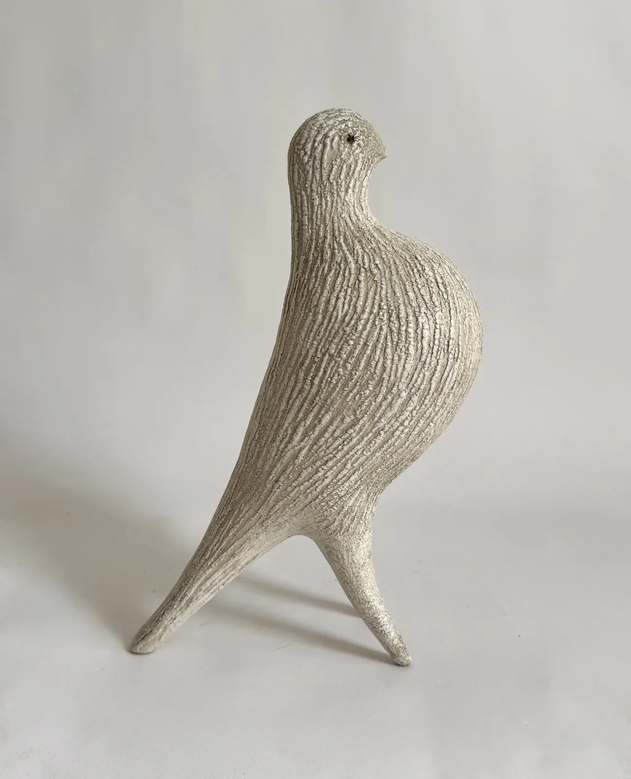 Julie Nelson, Ivory Pouter II, 2026