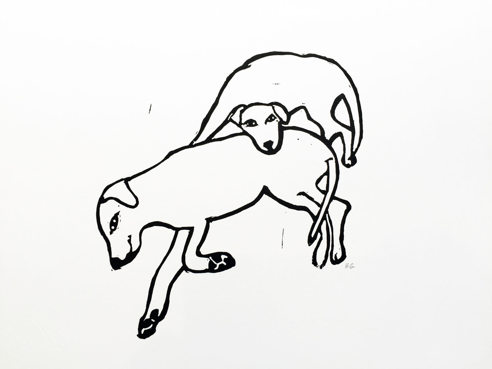 Hugo Guinness classic prints (unframed), Two Labradors