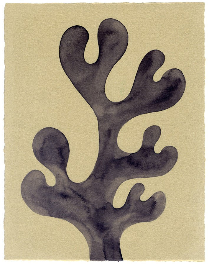 Henrietta Molinaro paintings, Leaf Study, 2022