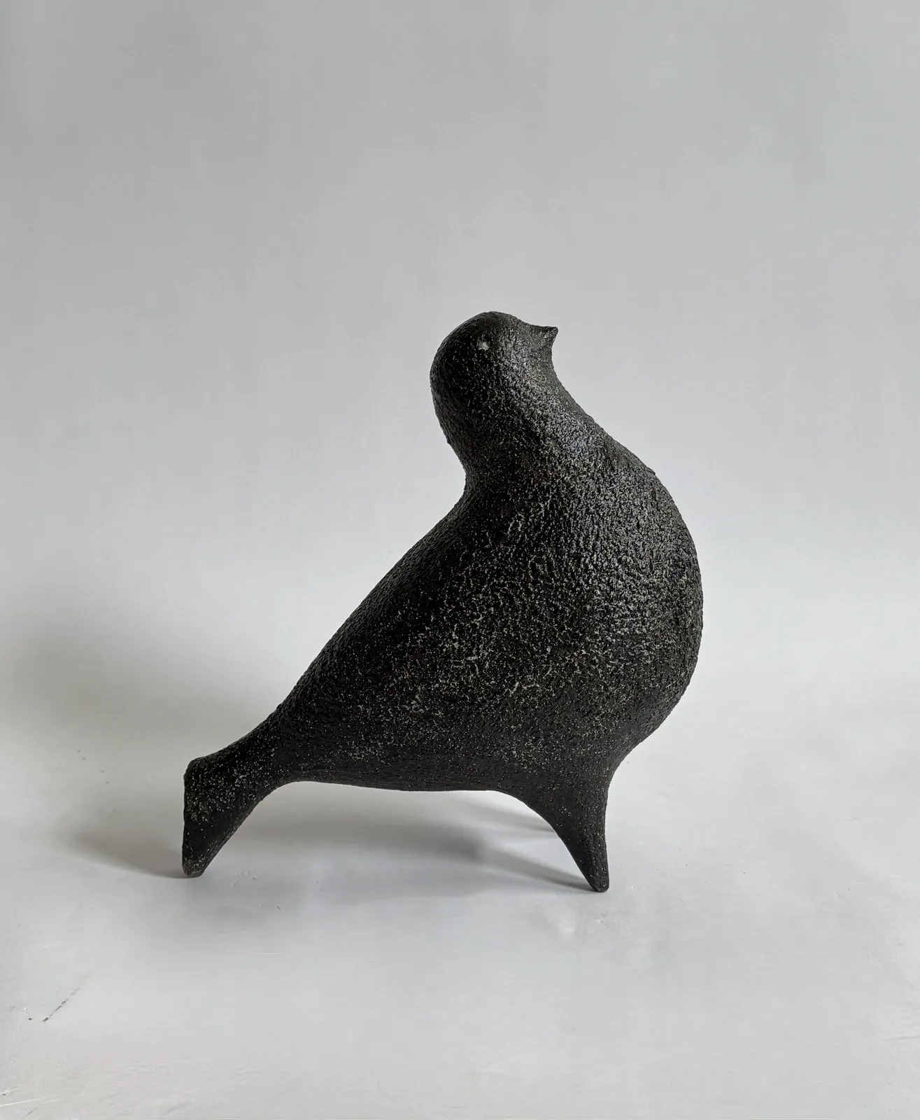 Julie Nelson, Charcoal Ponti II, 2026