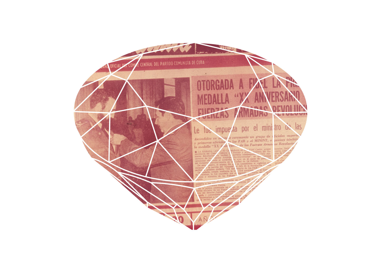 Diango Hernández, Diamonds and Stones My Education (Press), 2008