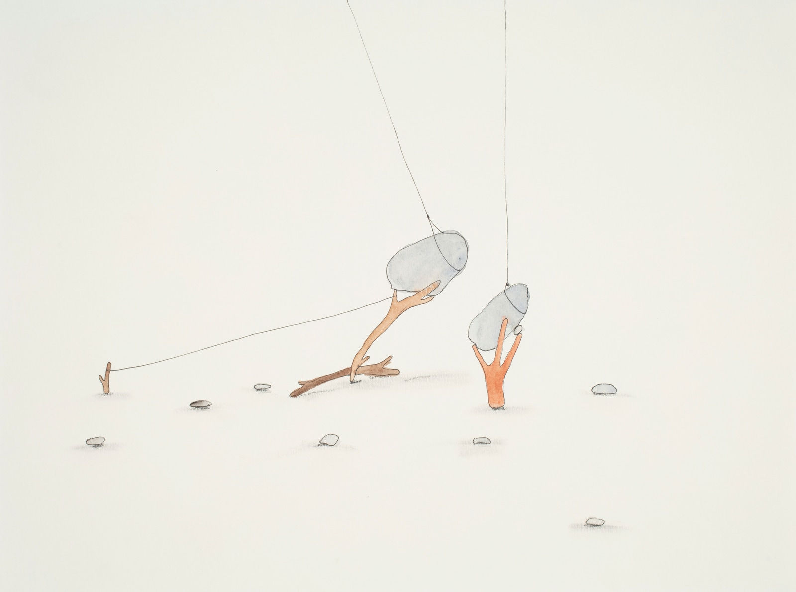 Federico Luger, Ecosystem 078, 2004