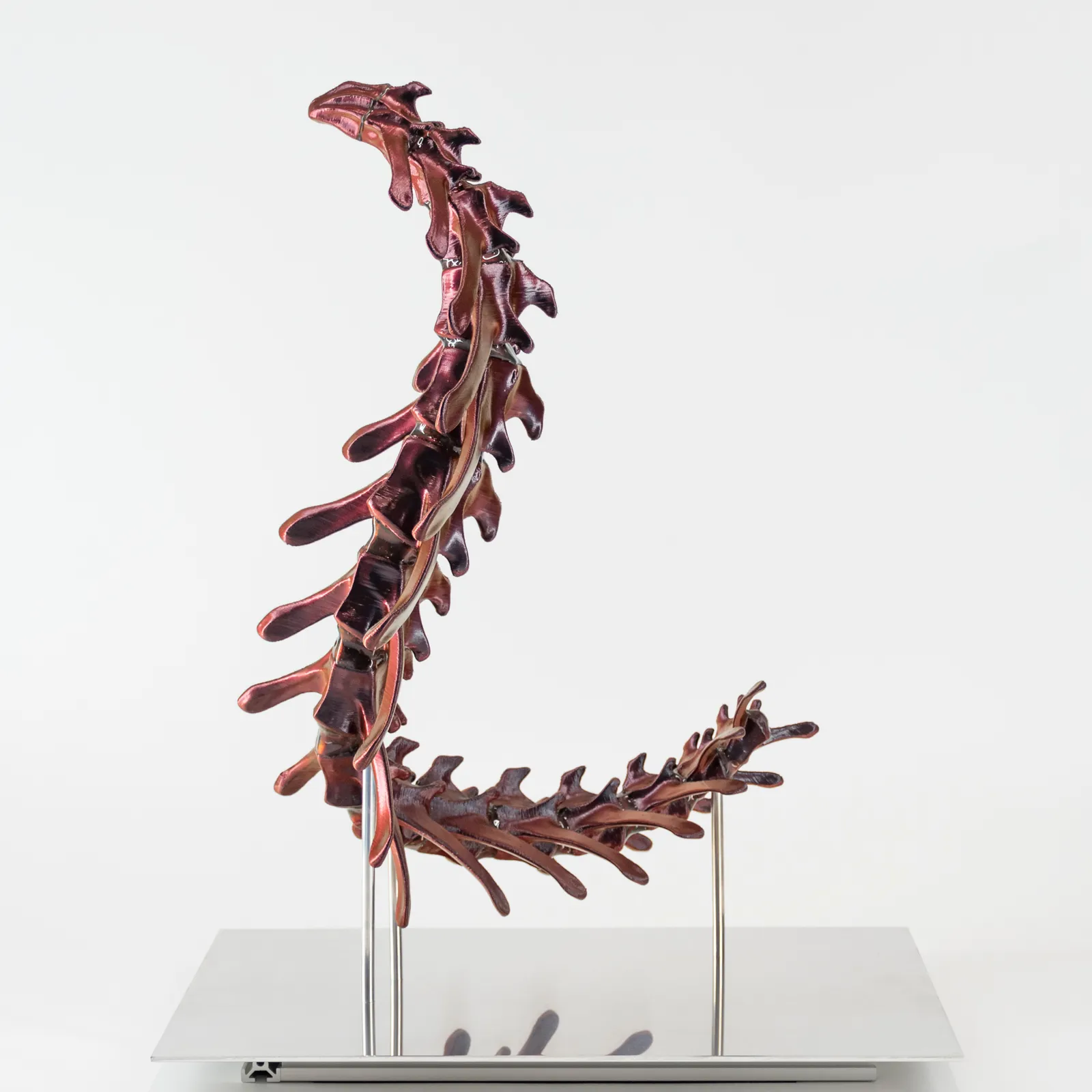 Andrea Samory, Chimera 3.3, 2024