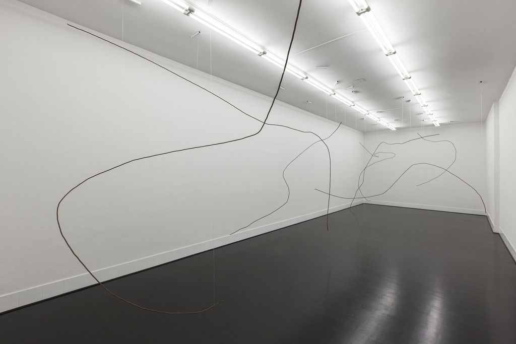 Diango Hernández, Hurricanes, 2016