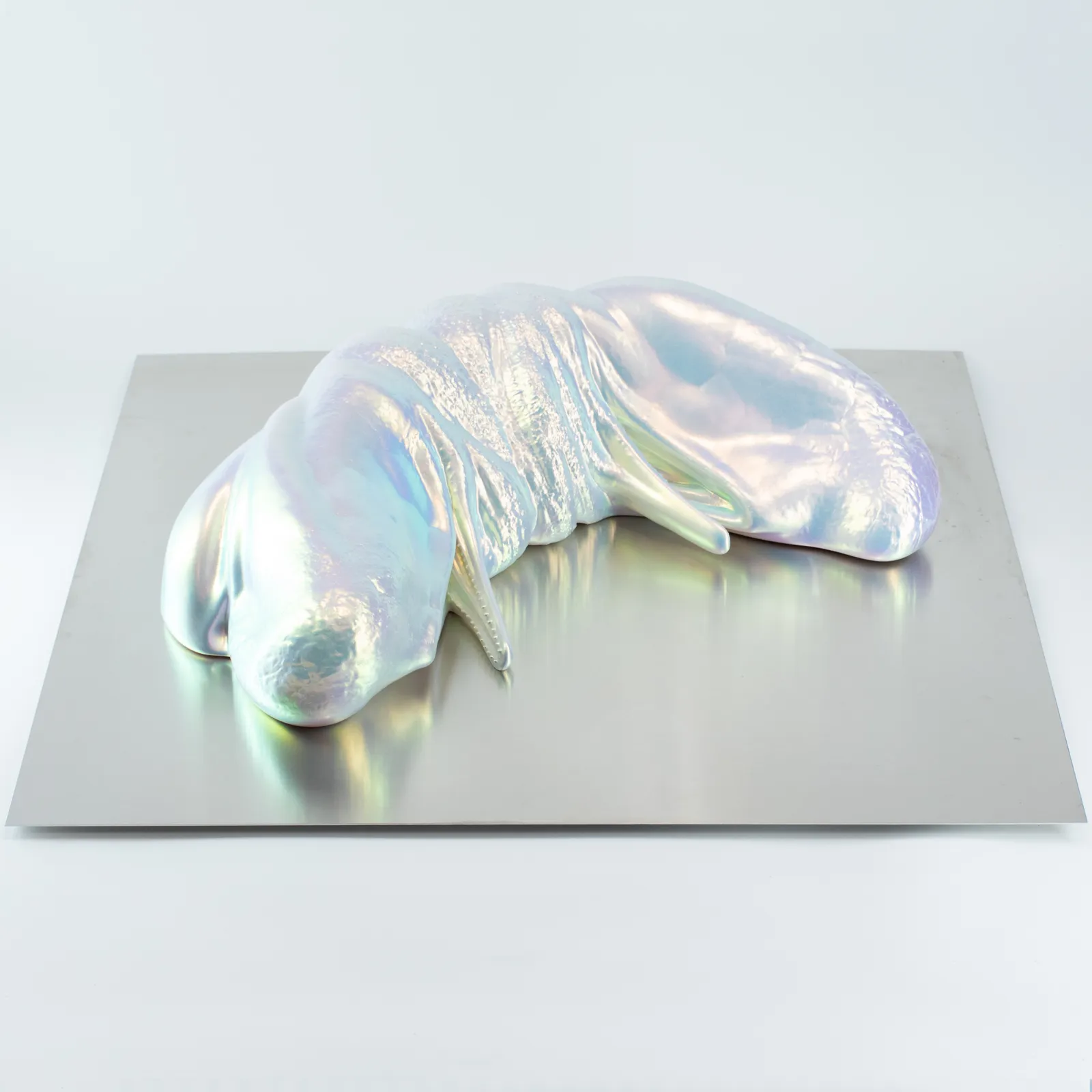 Andrea Samory, Chimera 2.5, 2024