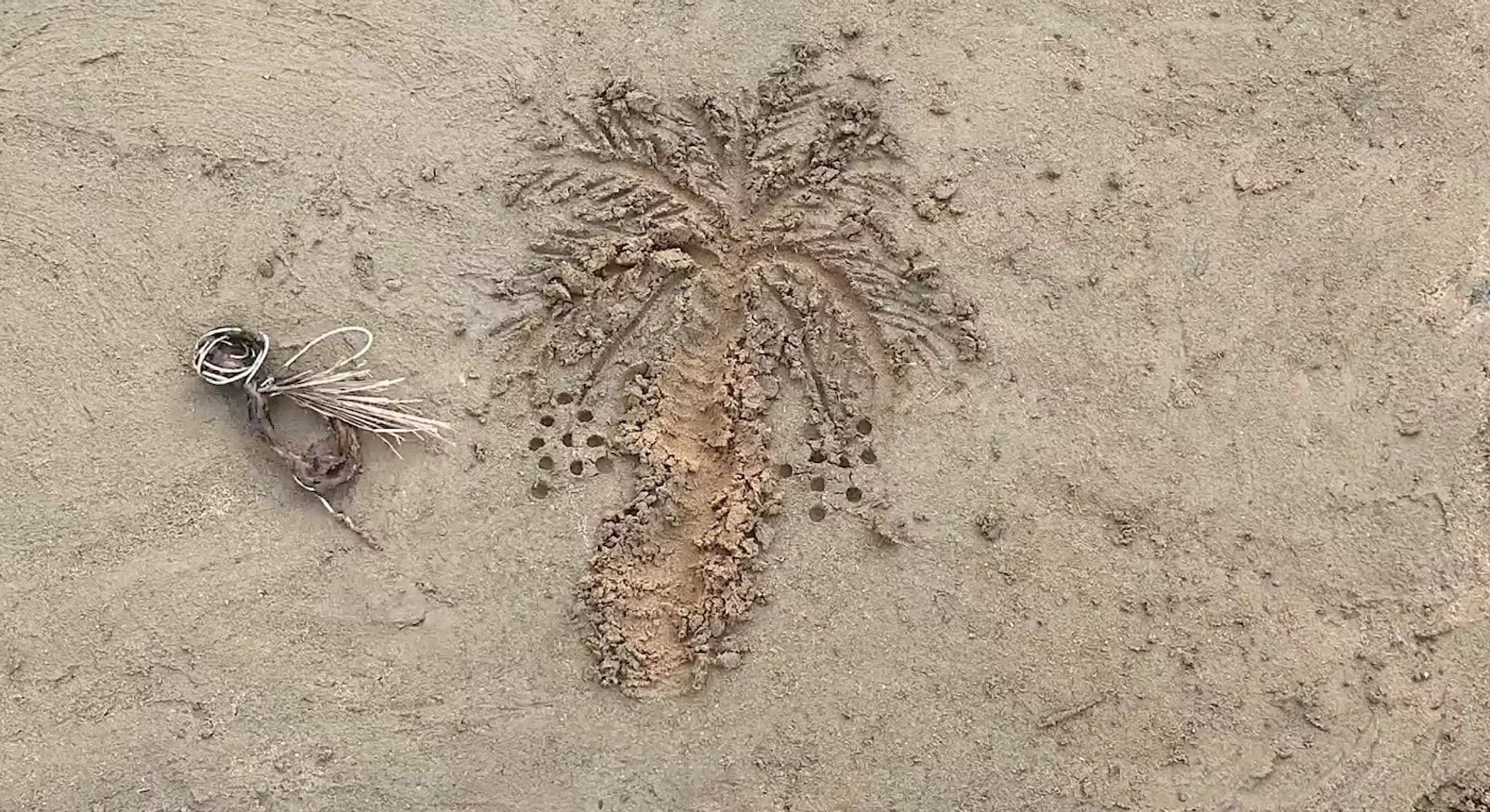 Mohammad AlFaraj, The Date Fruit of Knowledge, 2022