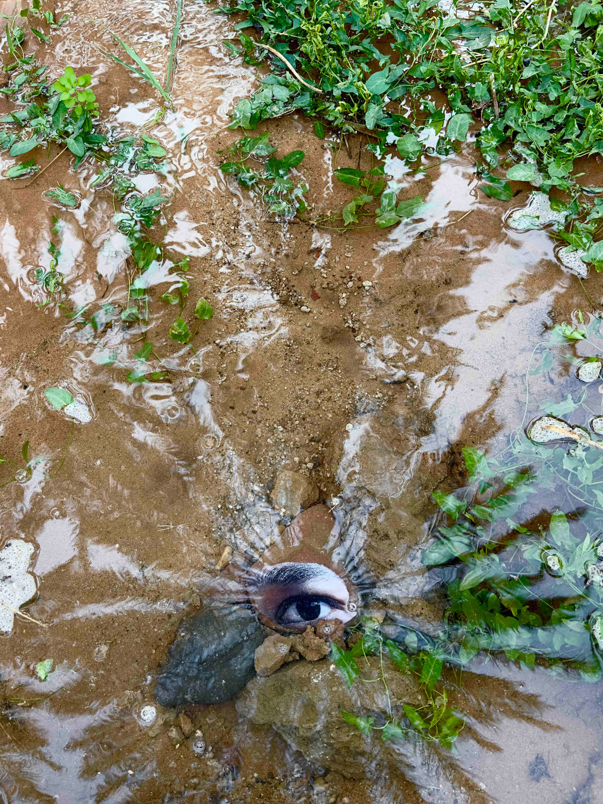 Mohammad AlFaraj, How many tears will stop the earth’s thirst?, How many tears will stop the bloodshed? , 2022