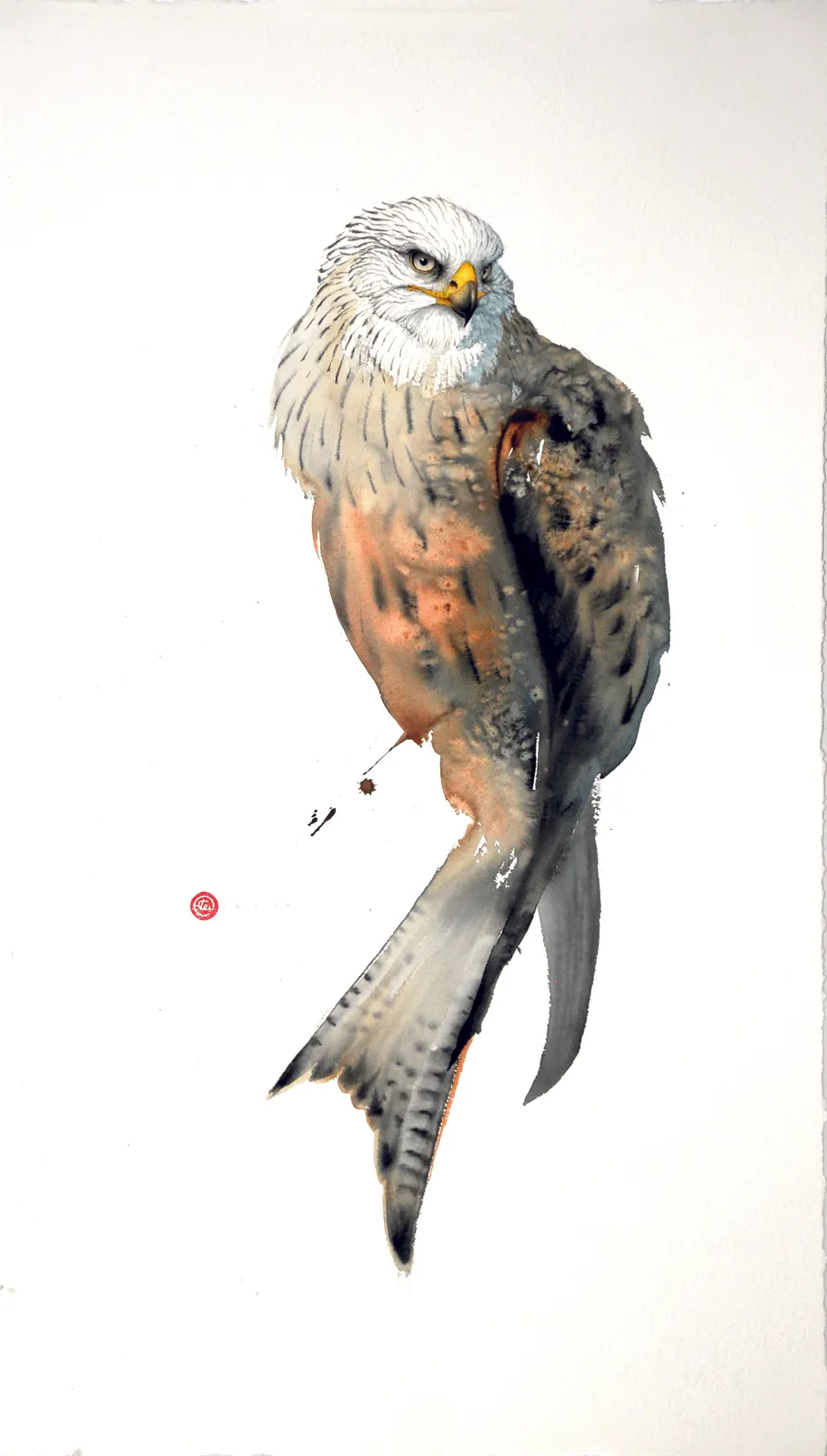 Karl Martens, RED KITE 1 (UNFRAMED)