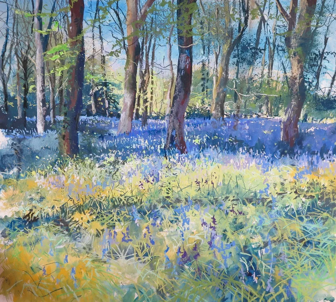 Maureen Davies, BLUEBELLS IN THE SUN