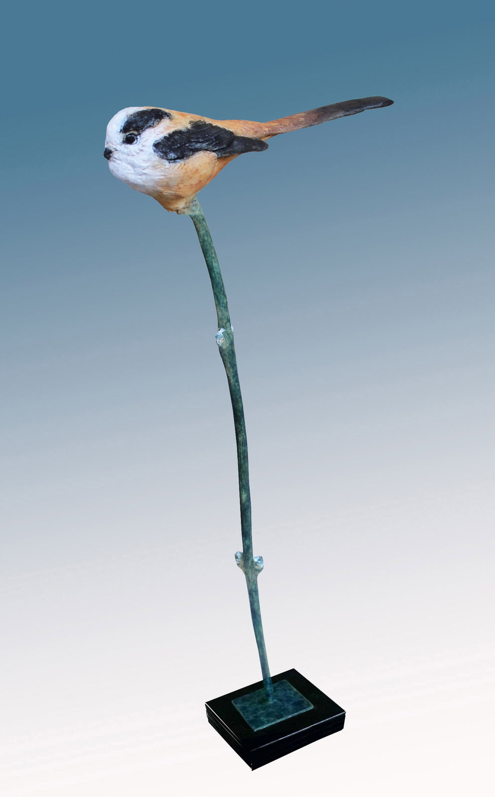 David Cemmick, LONG-TAILED TIT ON WILLOW