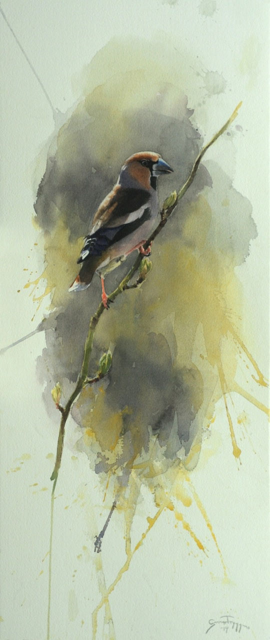 Gunnar Tryggmo, SPRING SUN