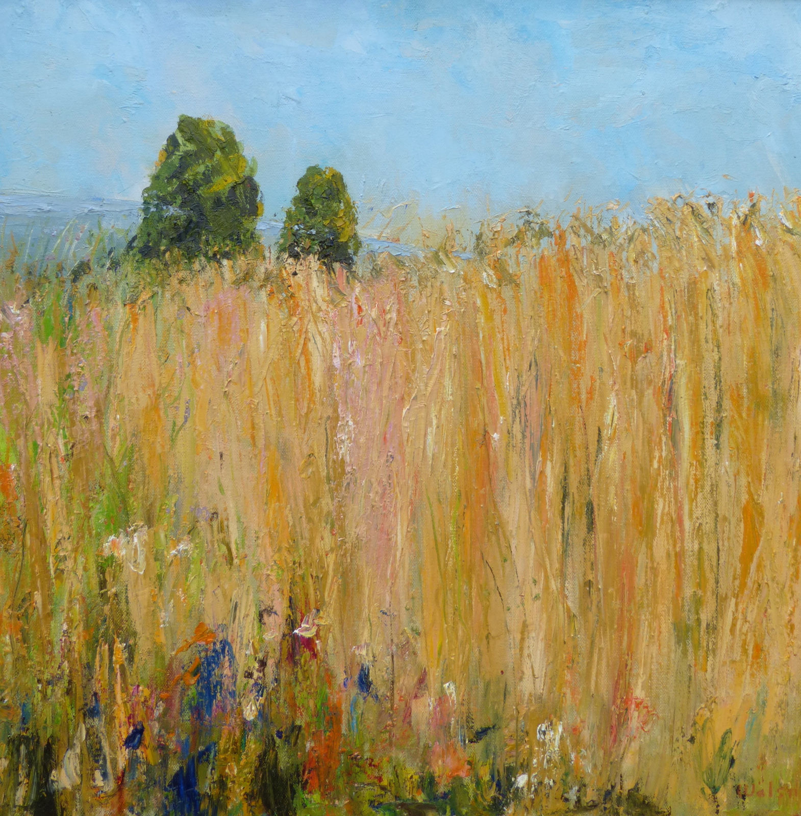 David Walsh, BARLEY, HIGH SUMMER