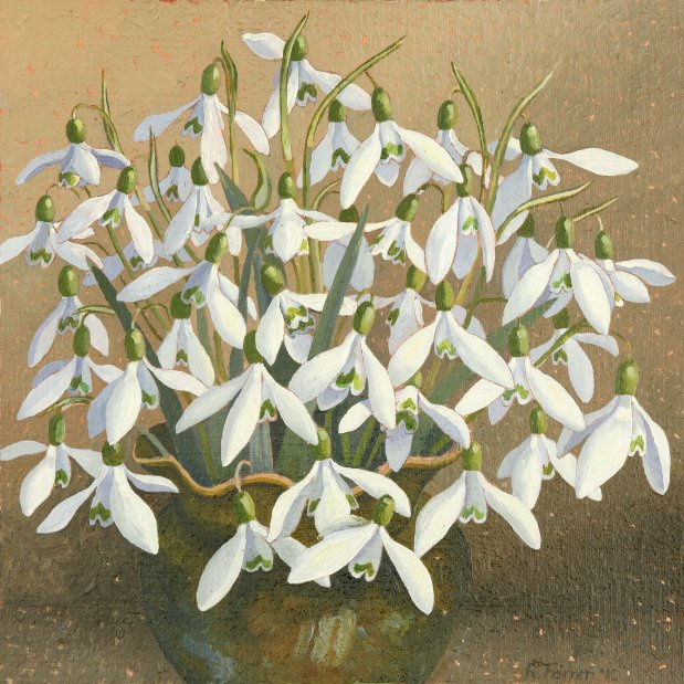 Rosemary Farrer, SNOWDROPS