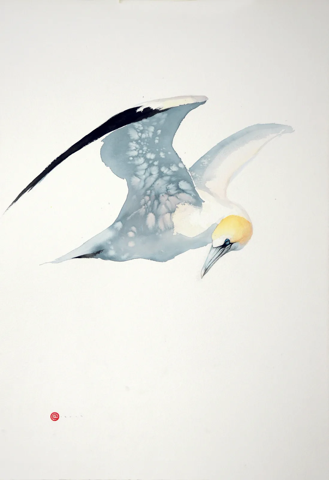 Karl Martens, GANNET 1 (UNFRAMED)