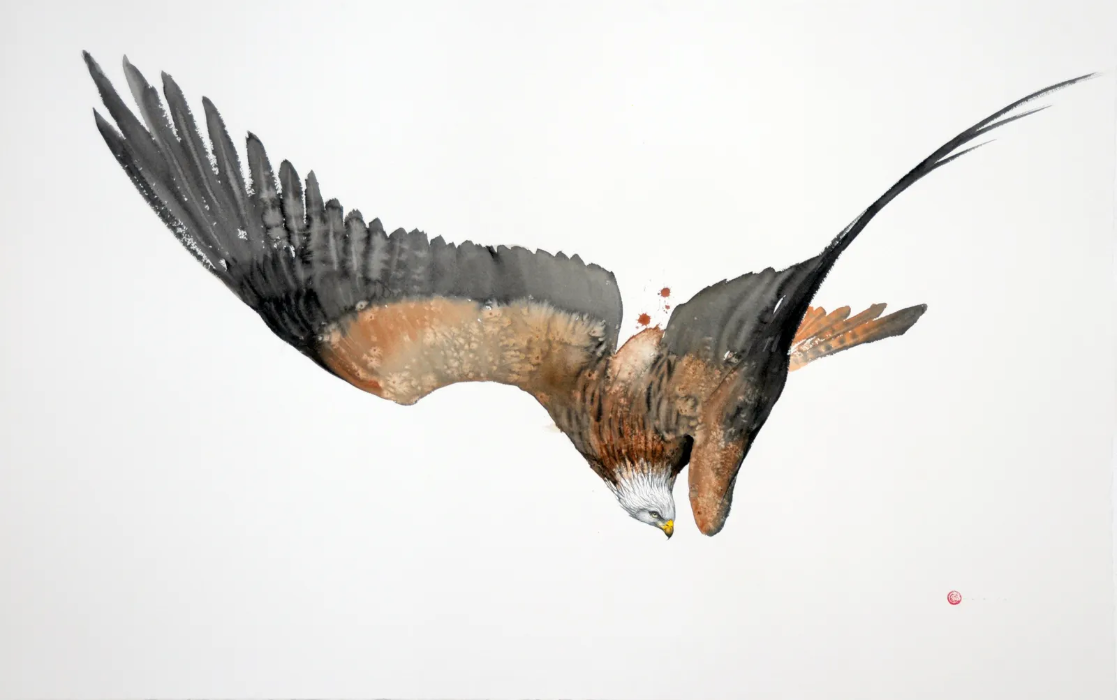 Karl Martens, RED KITE IN FLIGHT (UNFRAMED)