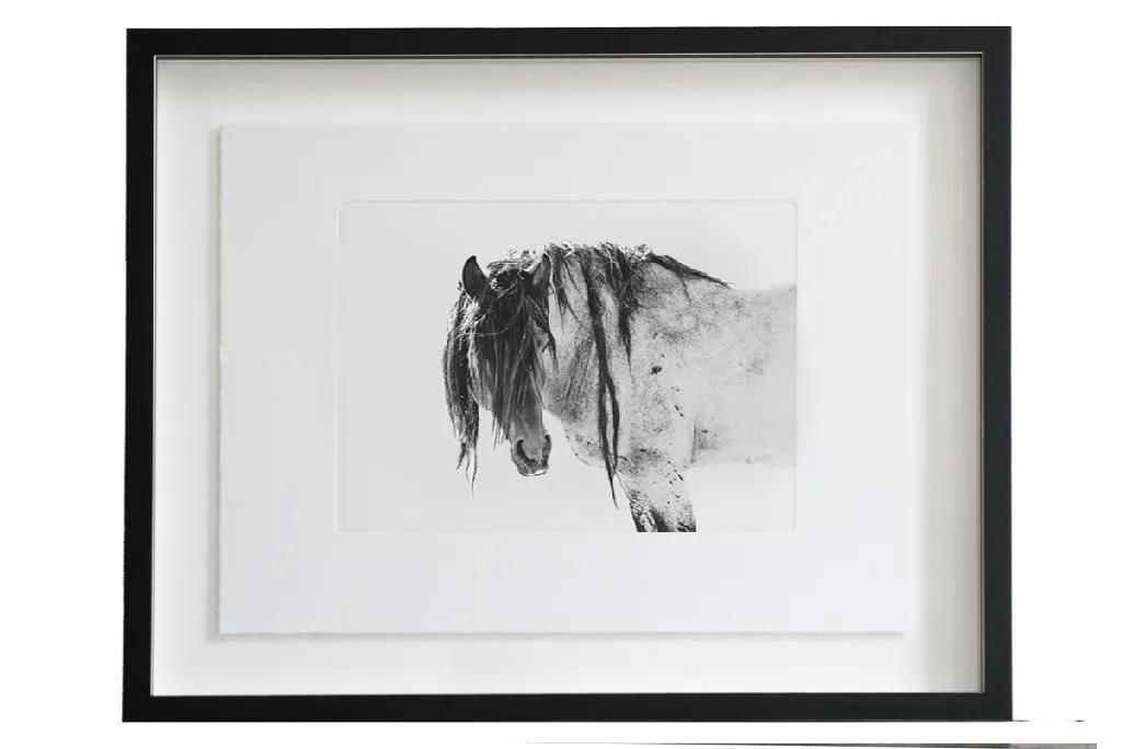 Astrid Harrisson, FREEDOM