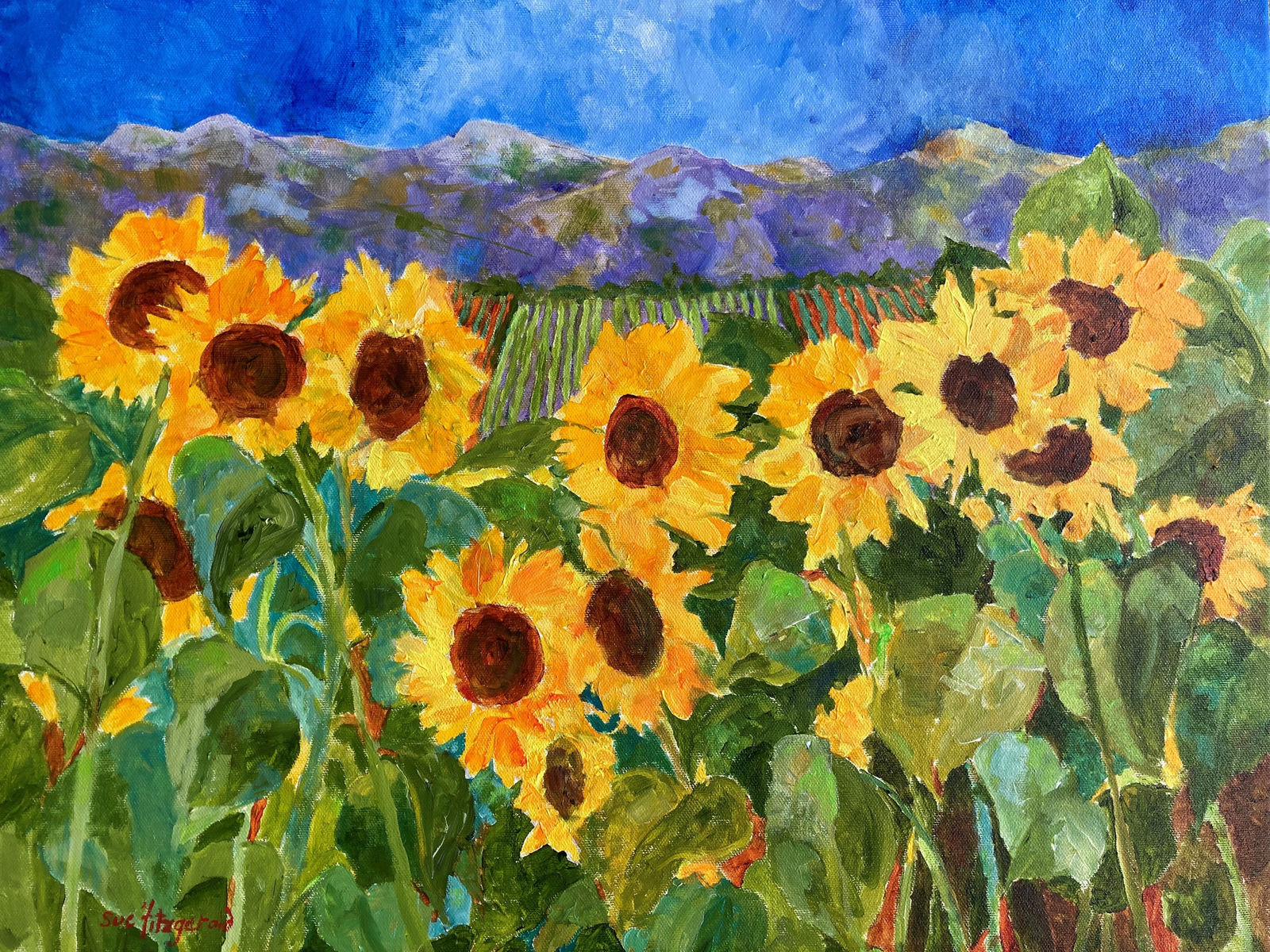 Susan Fitzgerald, LANGUEDOC SUMMER