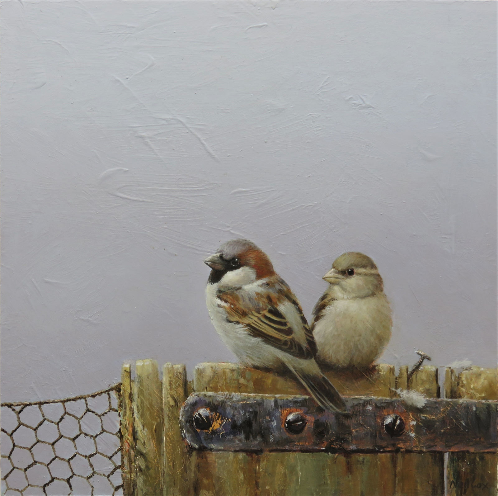 Neil Cox, PERFECT MATCH - HOUSE SPARROWS