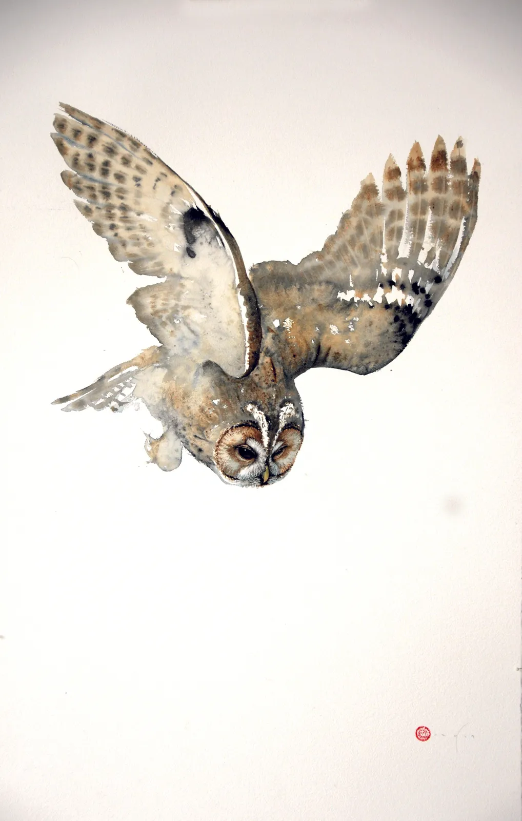 Karl Martens, TAWNY OWL (UNFRAMED)