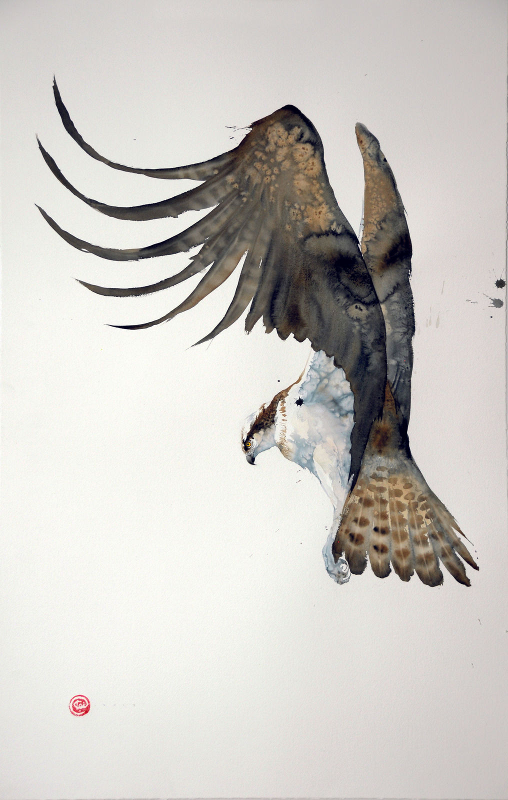 Karl Martens, OSPREY (UNFRAMED)
