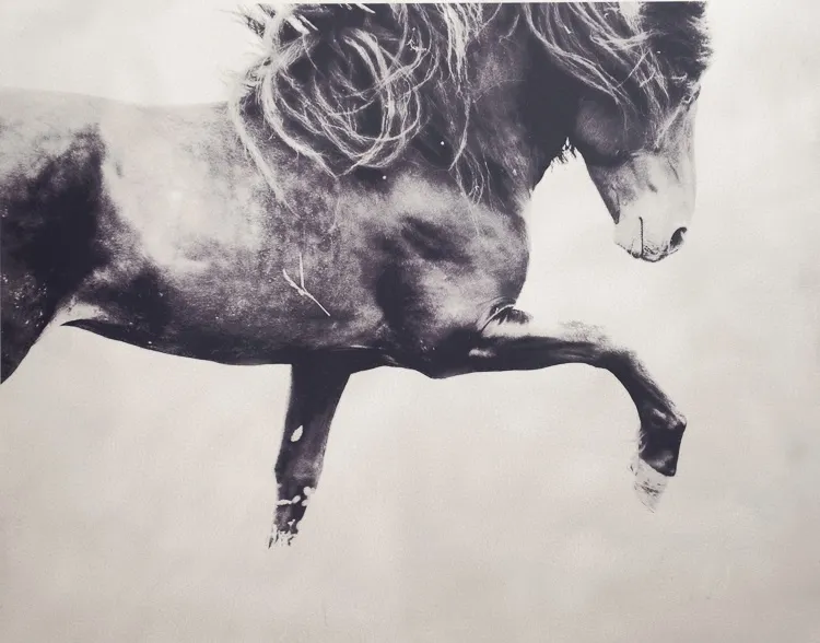 Astrid Harrisson, SINDRI