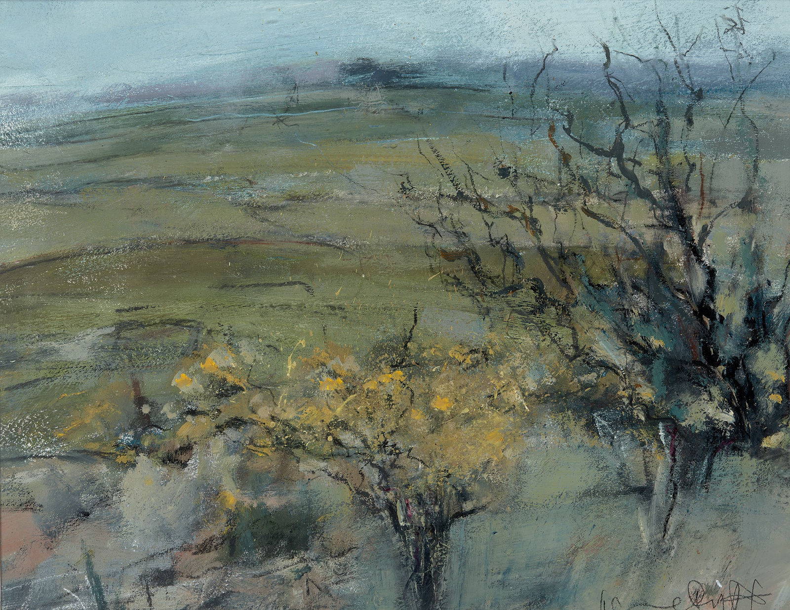 Jane Duff, PRESELI HILLS, PEMBROKESHIRE