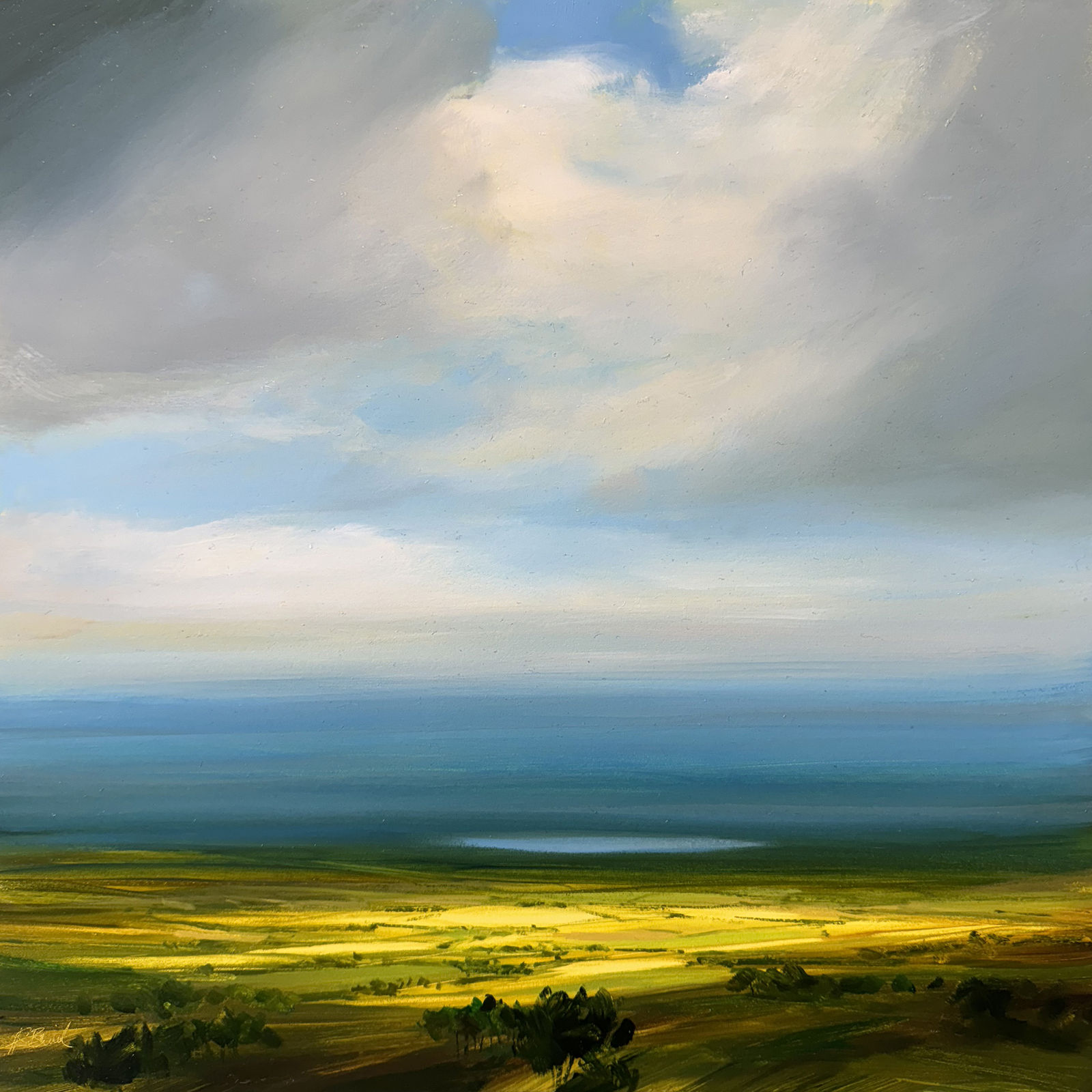 Harry Brioche, DISTANT BLUE