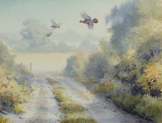 Owen Williams, PARTRIDGE LANE