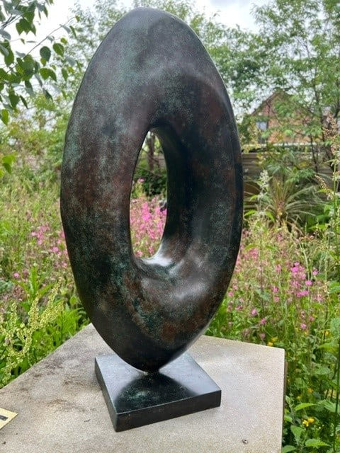 Lynda Hukins, VISION