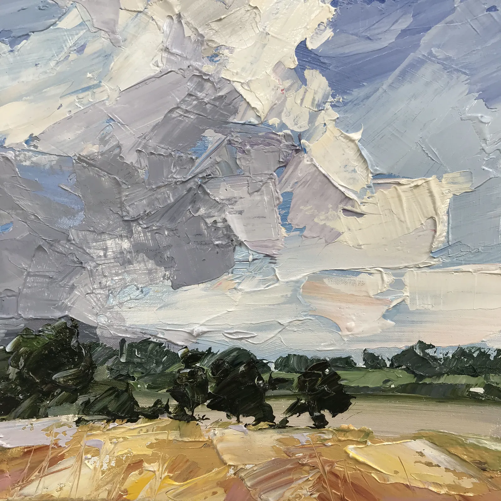 Paul Treasure, GOLDEN WHEAT