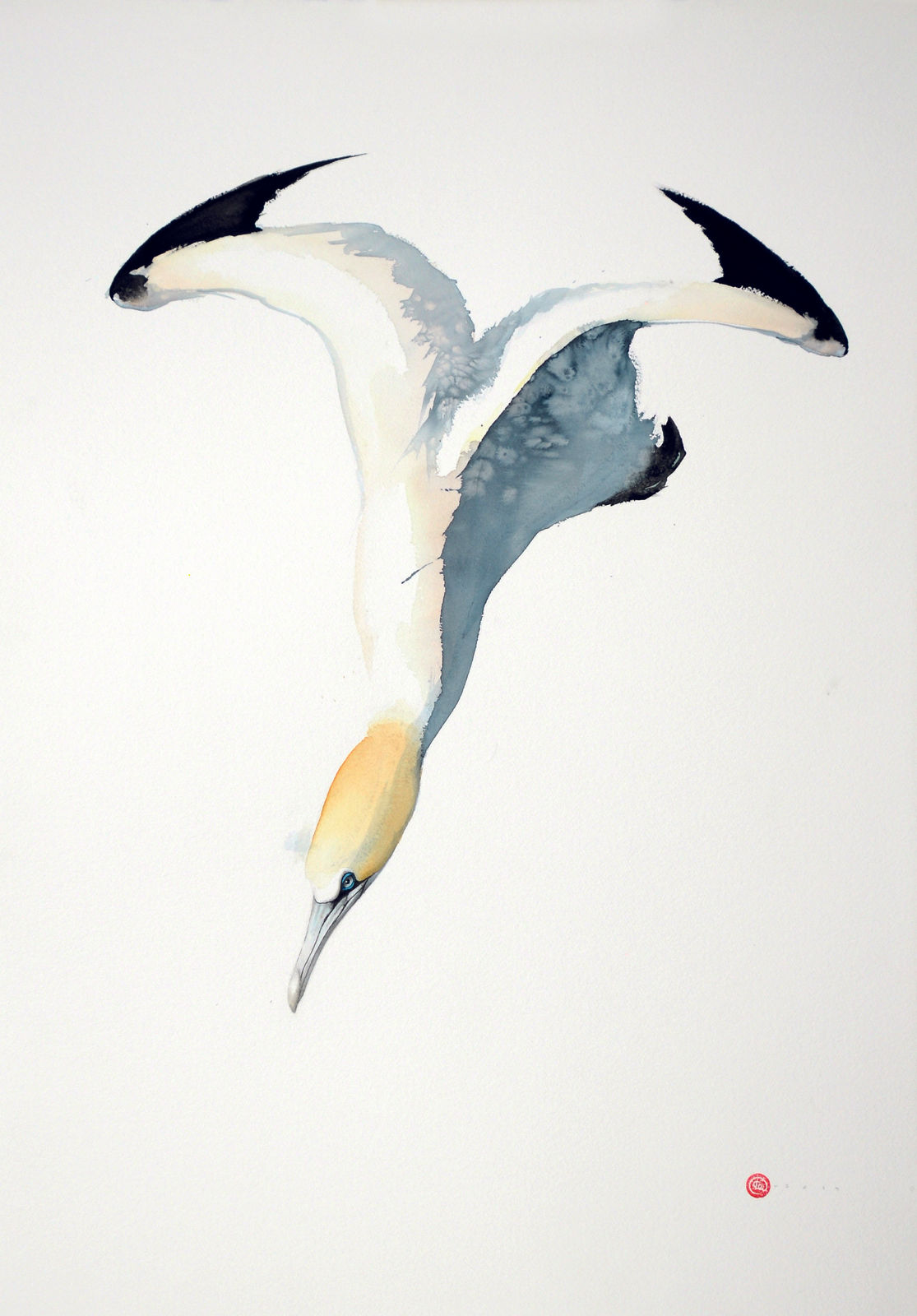 Karl Martens, GANNET 4 (UNFRAMED)