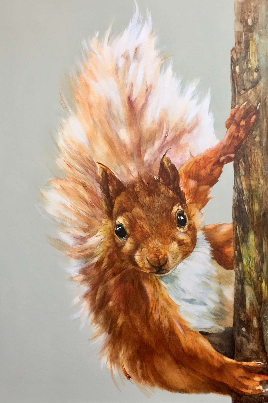 Paula Vize, BIRKHALL VISITOR