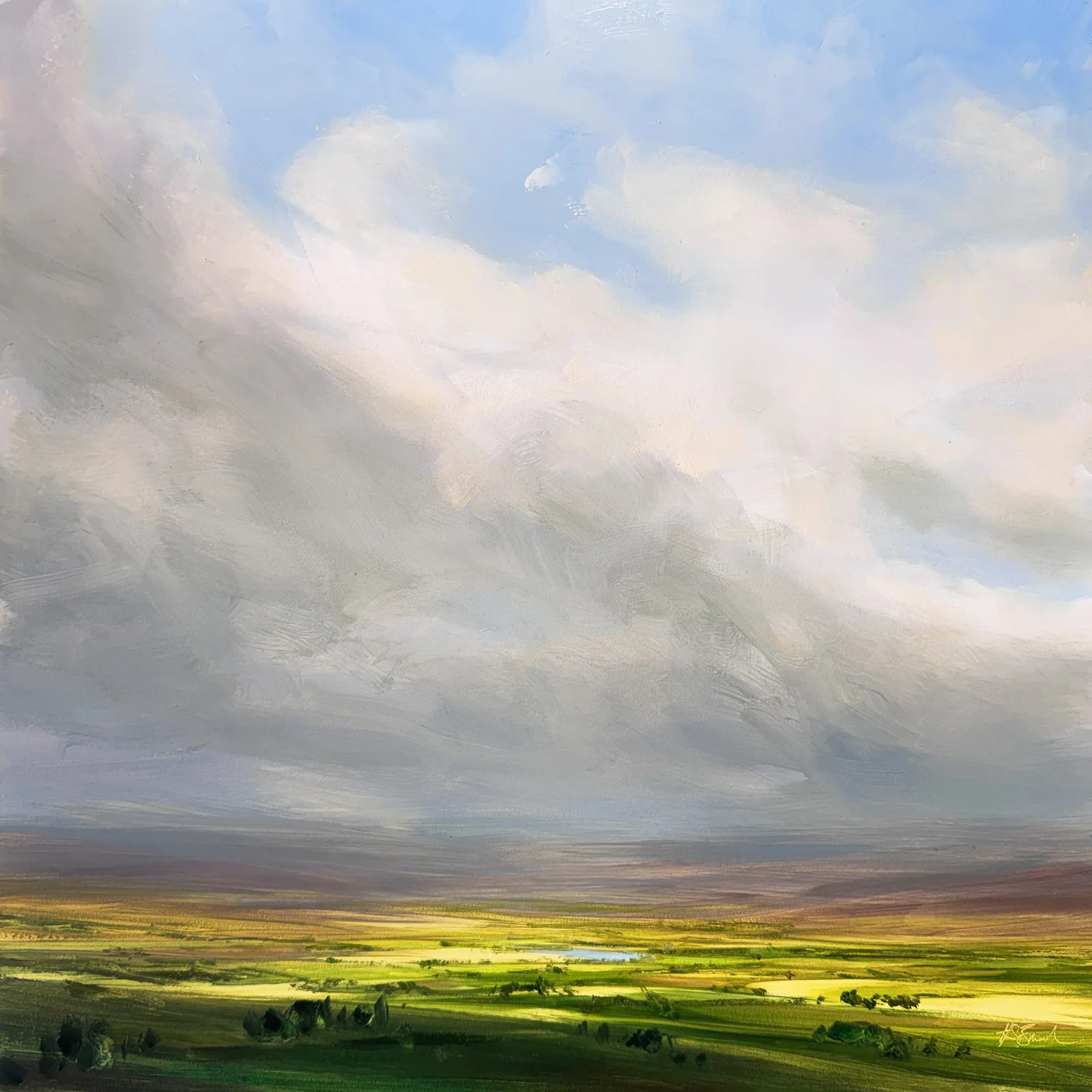 Harry Brioche, A QUIET AWAKENING