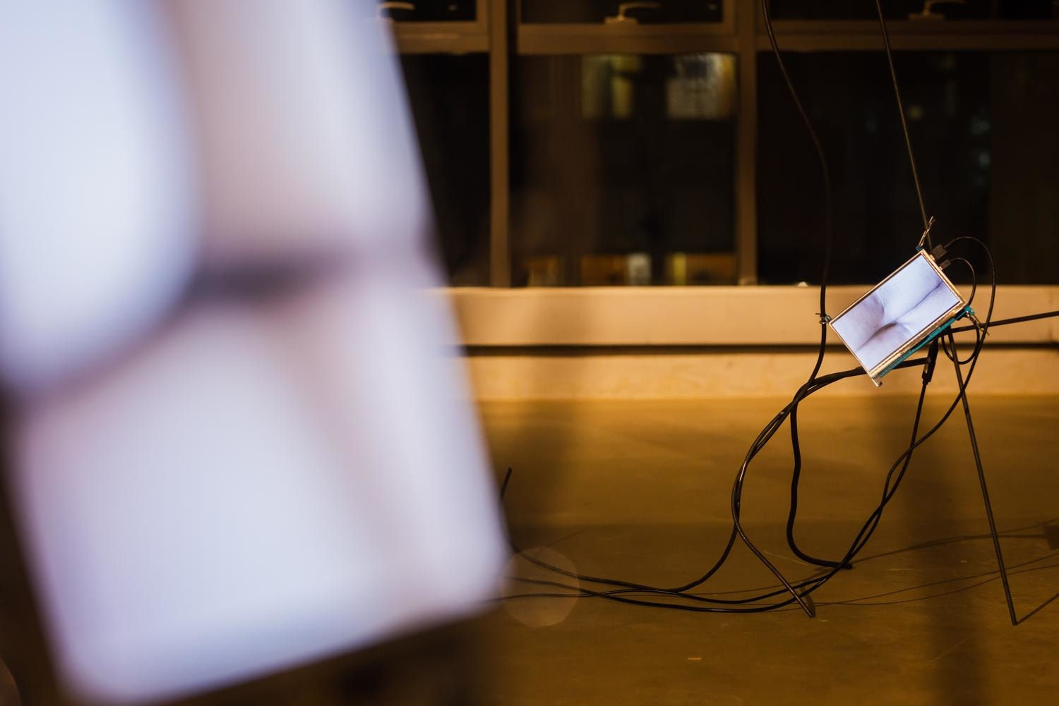 Aki Hassan, pulses wriggling, restlessly, 2022