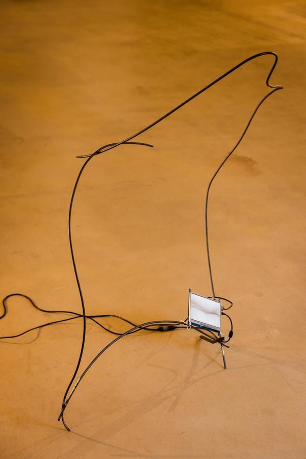 Aki Hassan, pulses wriggling, restlessly, 2022