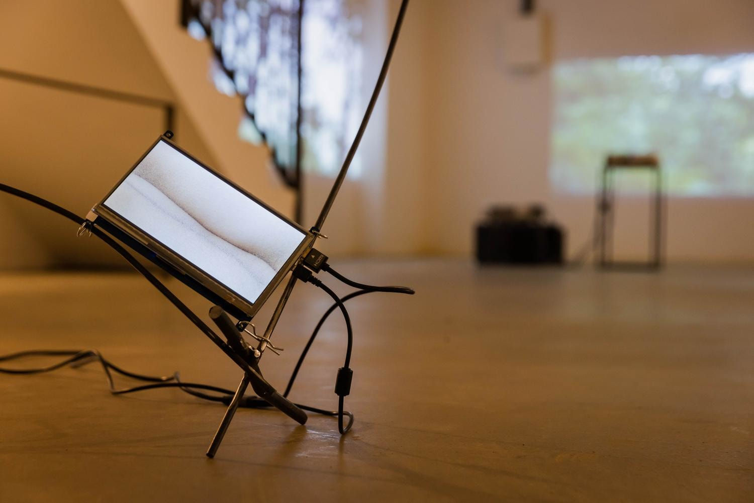 Aki Hassan, pulses wriggling, restlessly, 2022