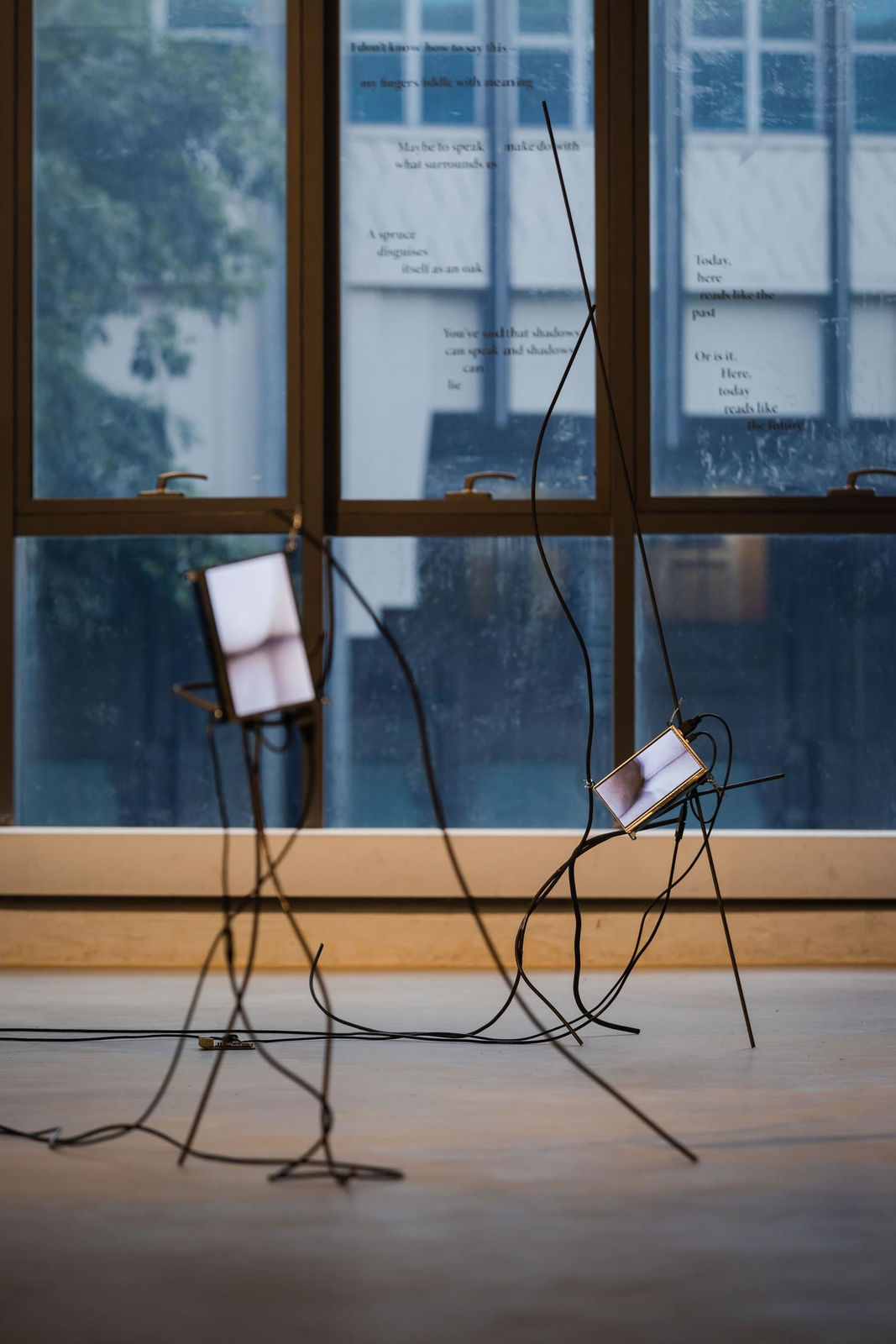 Aki Hassan, pulses wriggling, restlessly, 2022