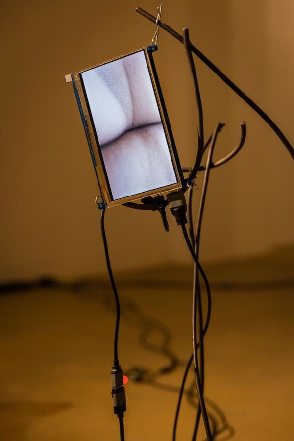 Aki Hassan, pulses wriggling, restlessly, 2022