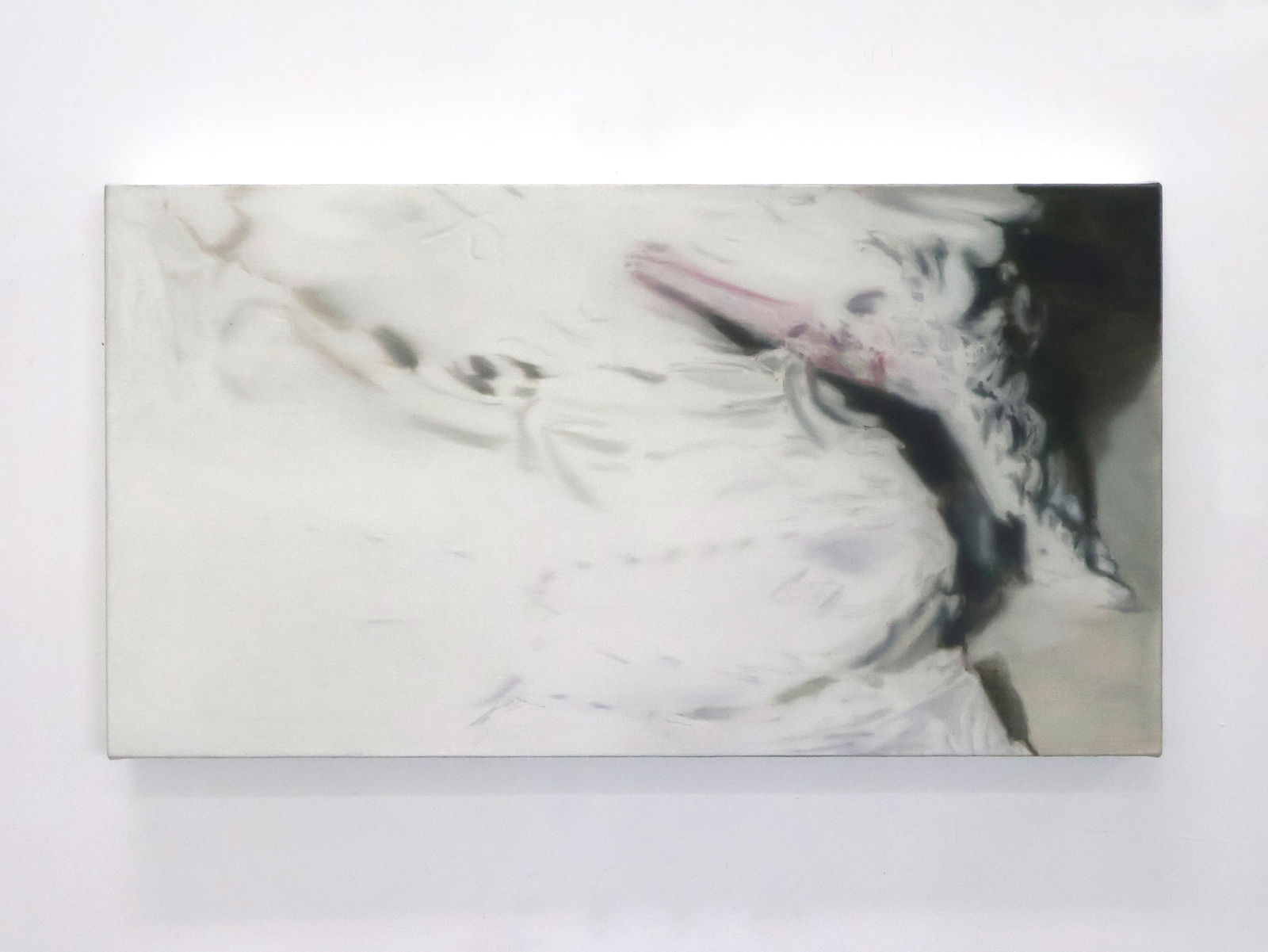 Luke Heng, Corinthian, 2025