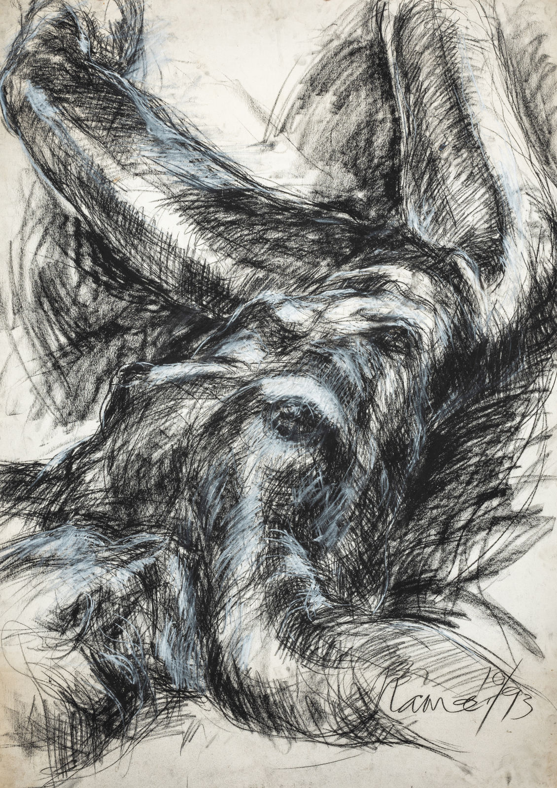 Solamalay Namasivayam, Nama 10/93, 1993