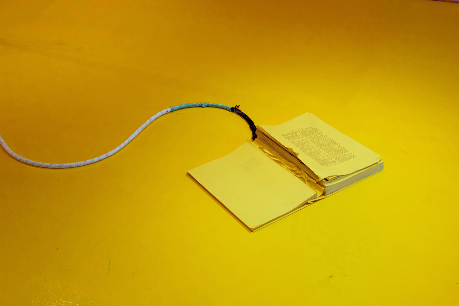 Stephanie Jane Burt, O Dear What Can The Matter Be, 2016