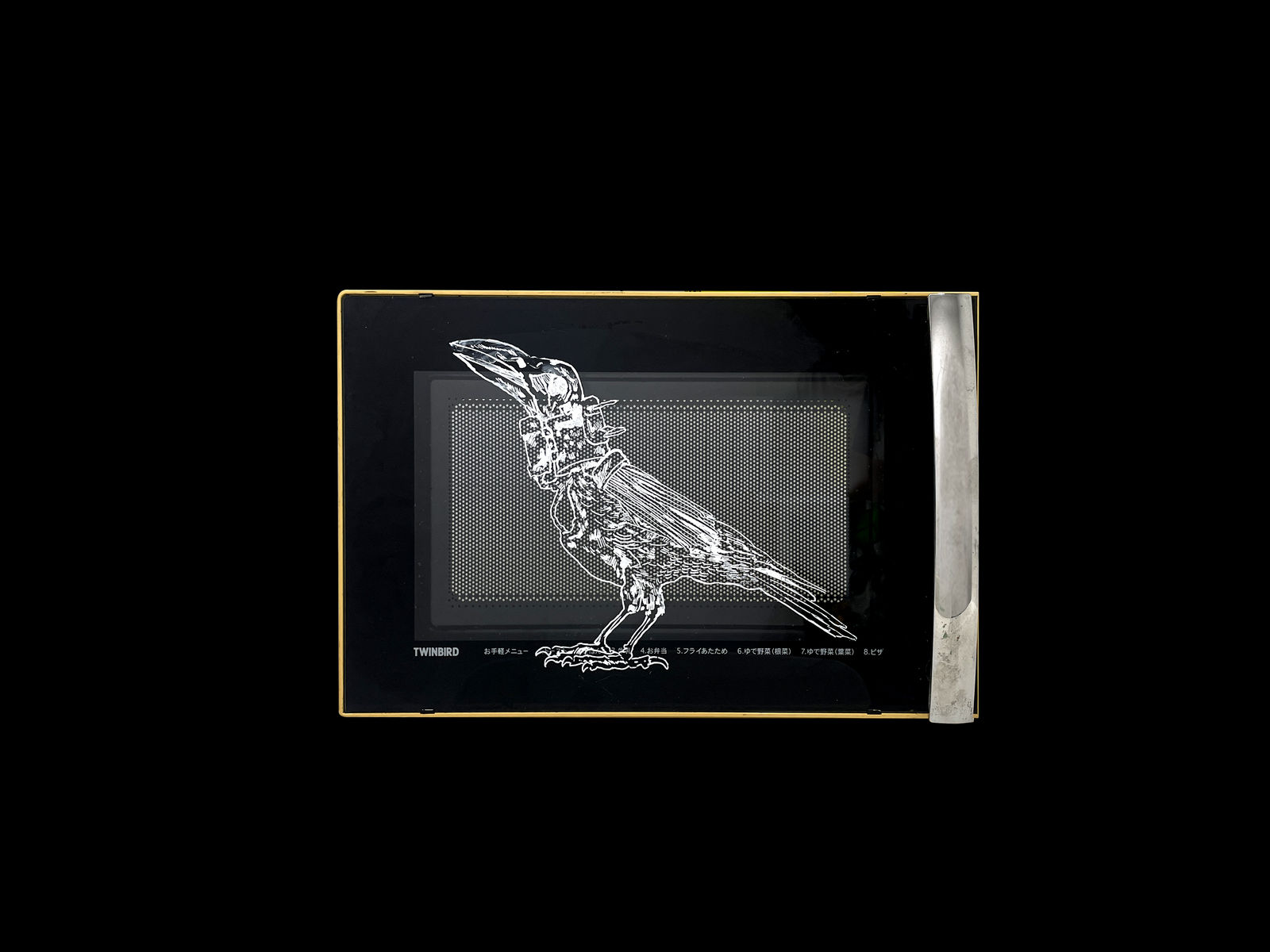 Rega Ayundya, Corvus radior, 2026