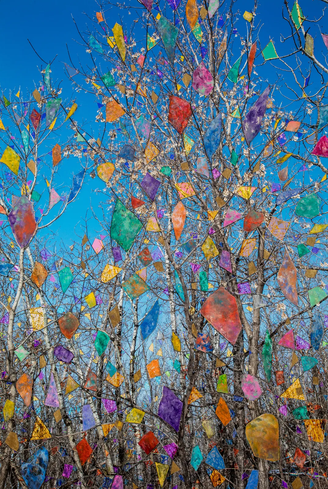 Sarah Anne Johnson, BBSIF, 2023