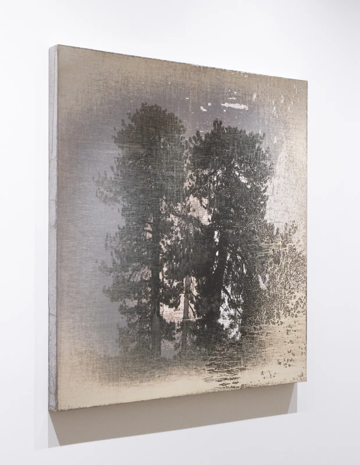 Matthew Brandt, AgXSB3129 (San Bernardino Forest), 2022