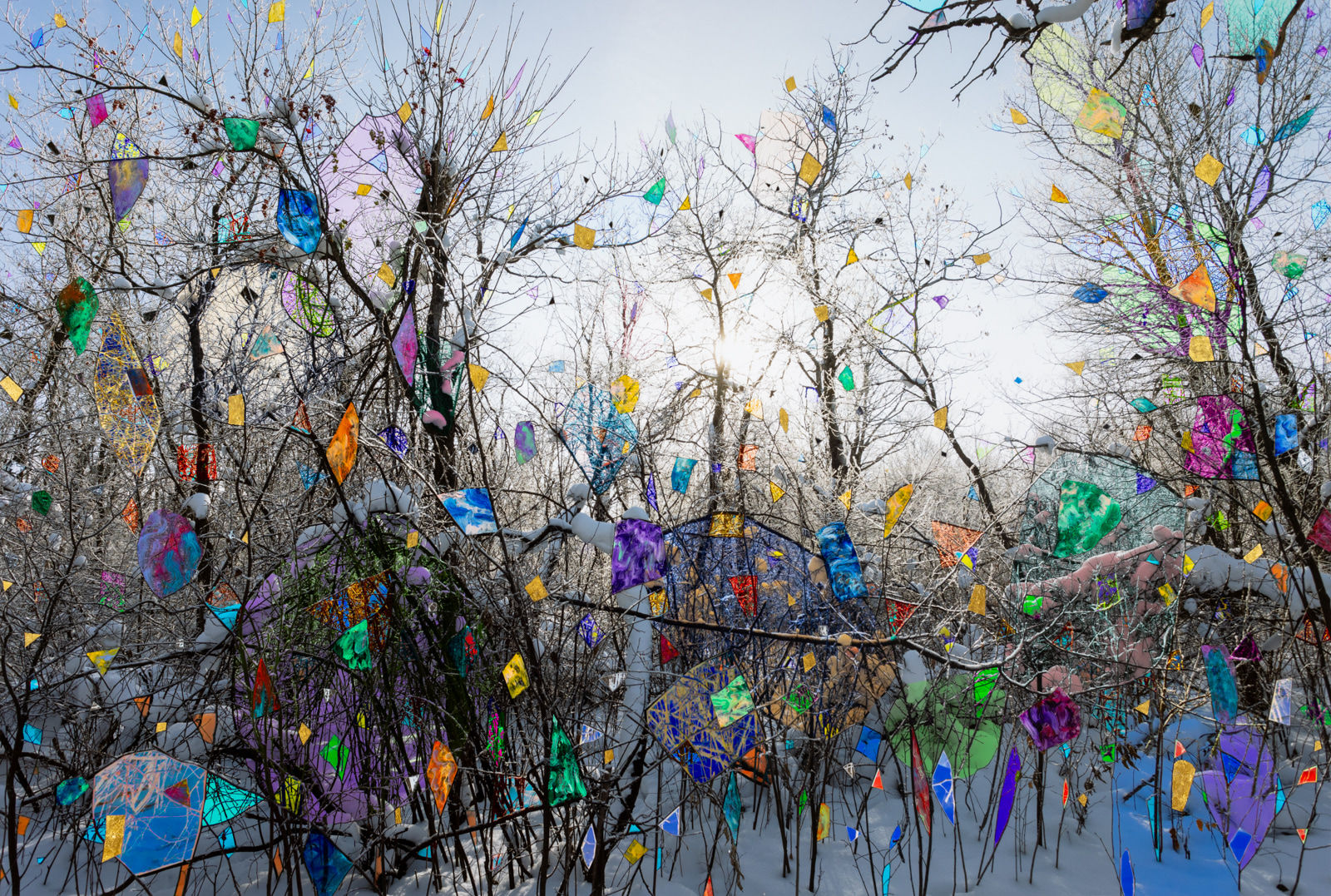 Sarah Anne Johnson, LACAGAG, 2024